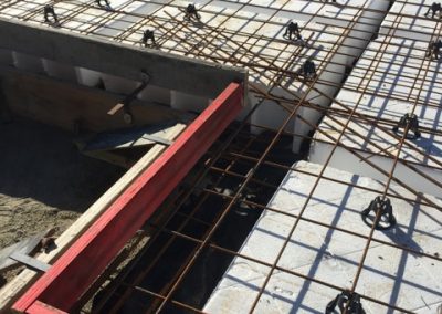 Tropical Concrete